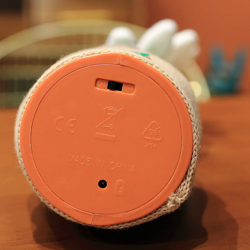 Learn To Talk Birthday Dance Toys