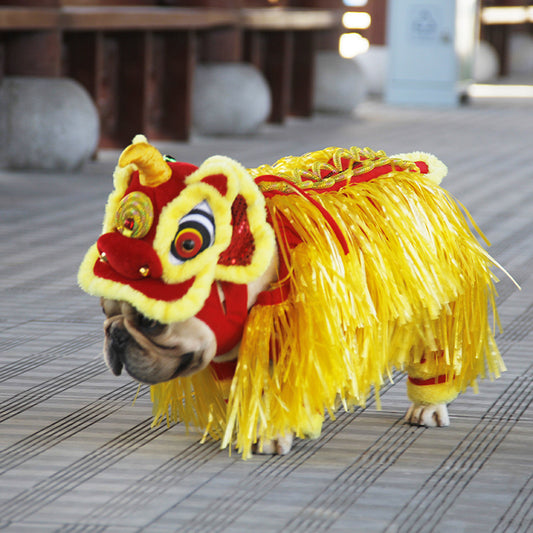 New Year Transformed Into Pet Clothing Lion Dance Costume