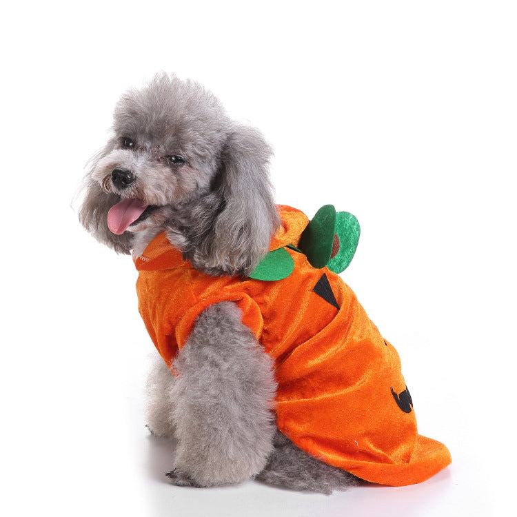Halloween Christmas dog clothes