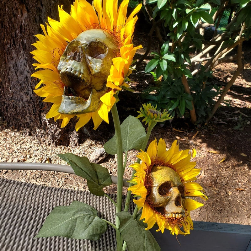 Skull Sunflower Halloween Decoration Atmosphere Garden