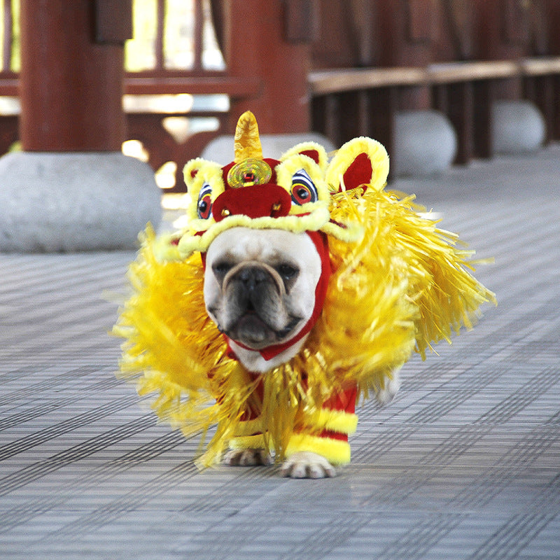New Year Transformed Into Pet Clothing Lion Dance Costume