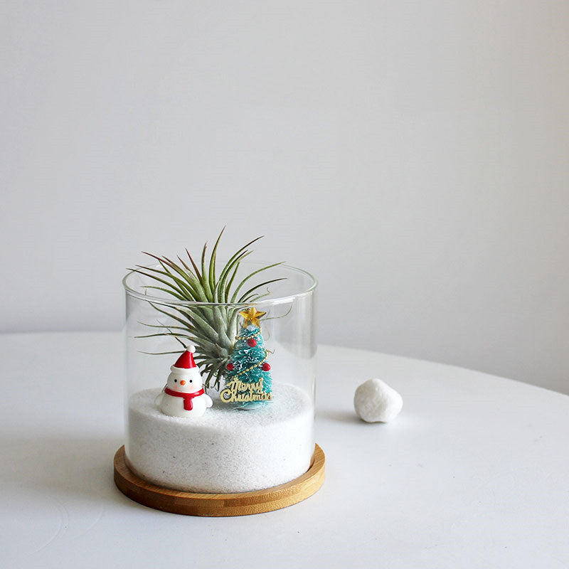 Funny Plant Christmas Gift Glass Flowerpot