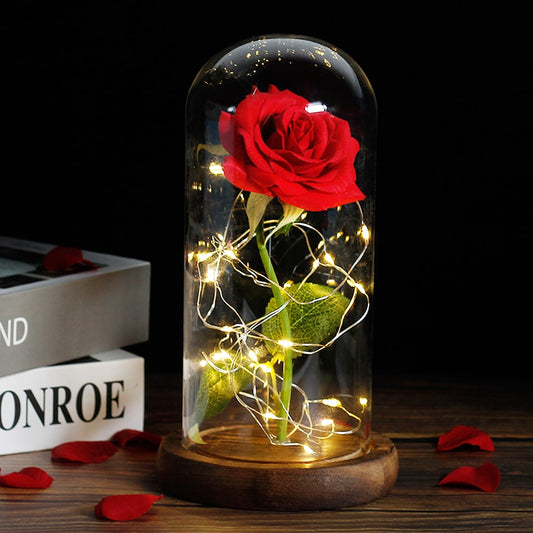Beauty And The Beast Rose Rose In LED Glass Dome