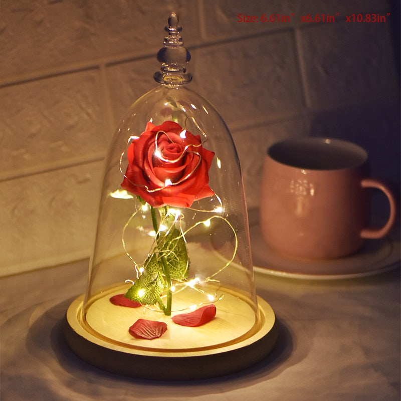 Preserved Roses In Glass Forever Eternal Rose