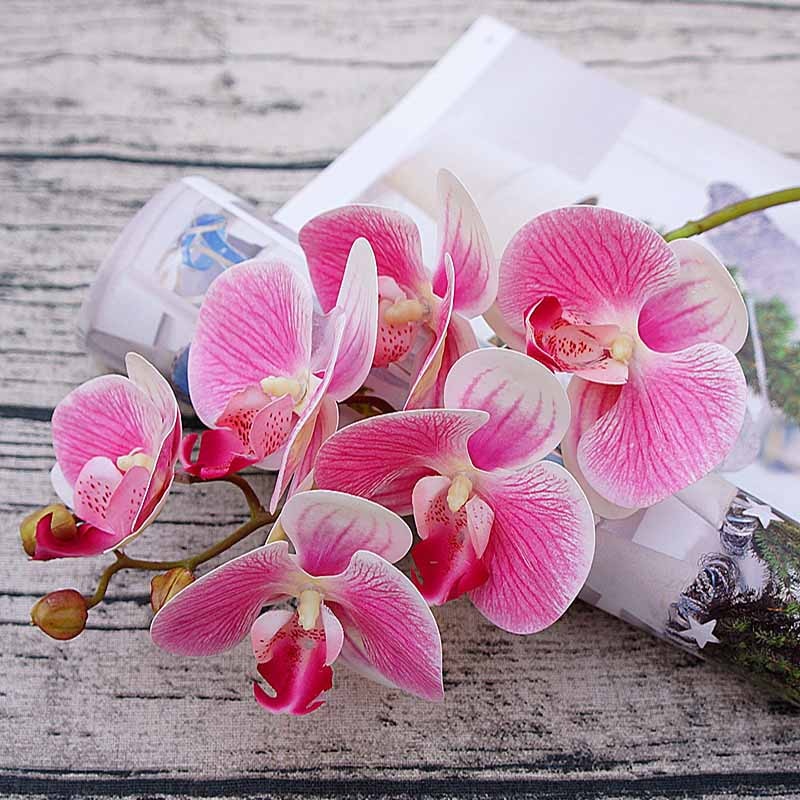 Butterfly Orchid Vases for Home Decor Wedding