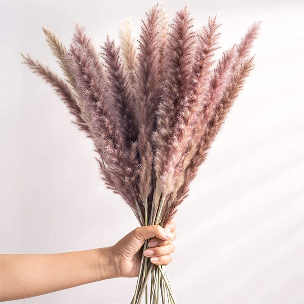 15Pieces Dried Pampas Grass Wedding Flower Bunch