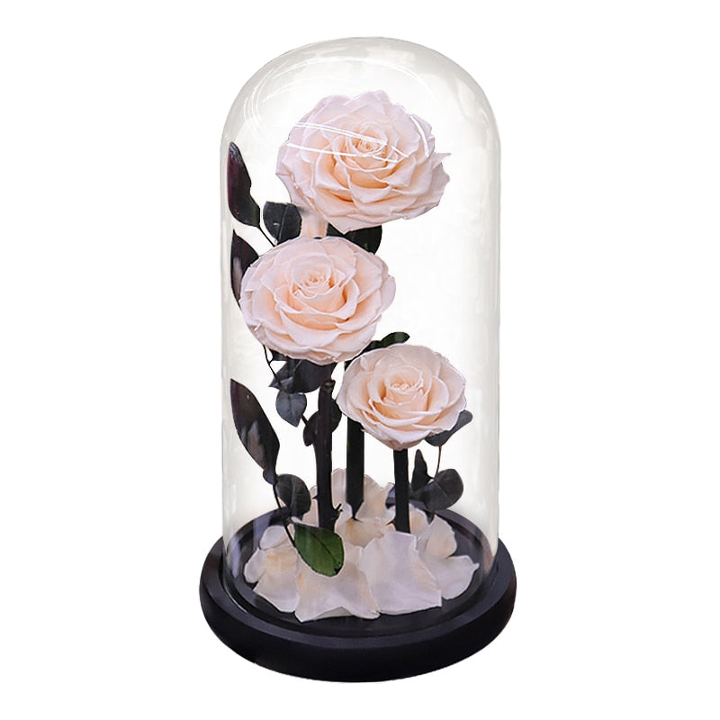 Eternal Preserved Roses In Glass Dome 5 Flower Heads
