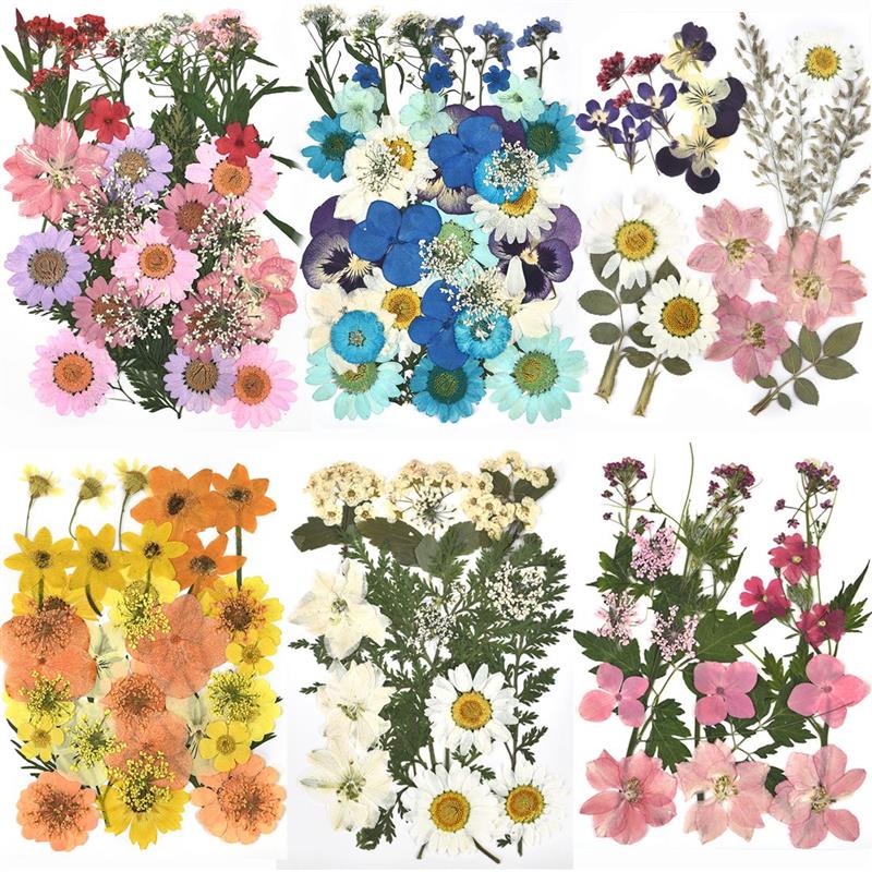 Dried Flowers UV Resin Flower Stickers Dry Beauty Decal