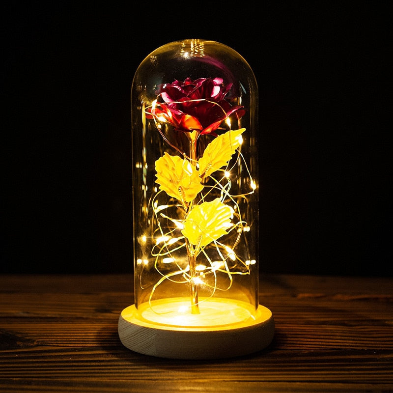 Valentines Day Gift for Girlfriend Eternal Rose LED Light