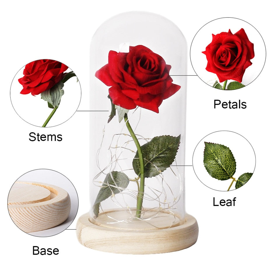 Beauty And The Beast Rose Rose In LED Glass Dome