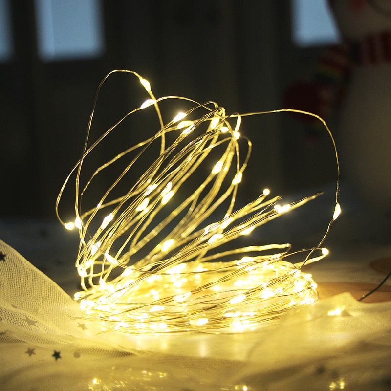 Christmas LED Fairy Lights USB/Battery Festoon Light