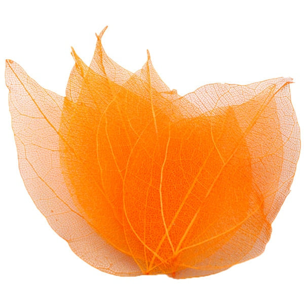 Lucia Crafts 36pcs /Bag  Multi-Color Leaf Dry Leaves
