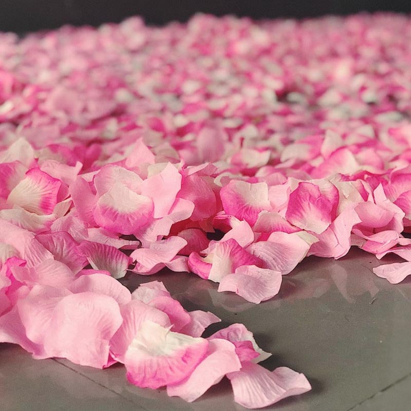 Rose Petals for Wedding Decoration Romantic Rose