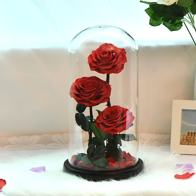 Eternal Preserved Roses In Glass Dome 5 Flower Heads