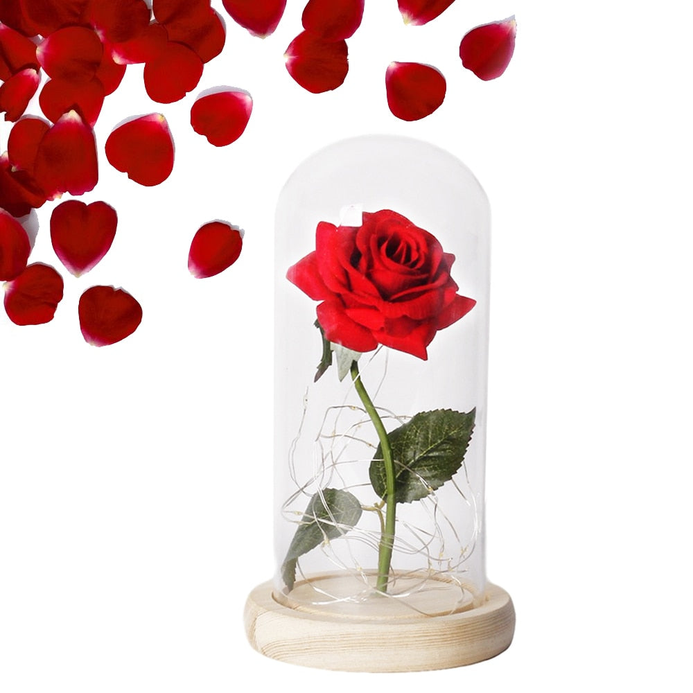 Beauty And The Beast Rose Rose In LED Glass Dome