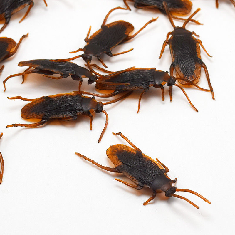 12pieces real touch cockroach halloween novelty