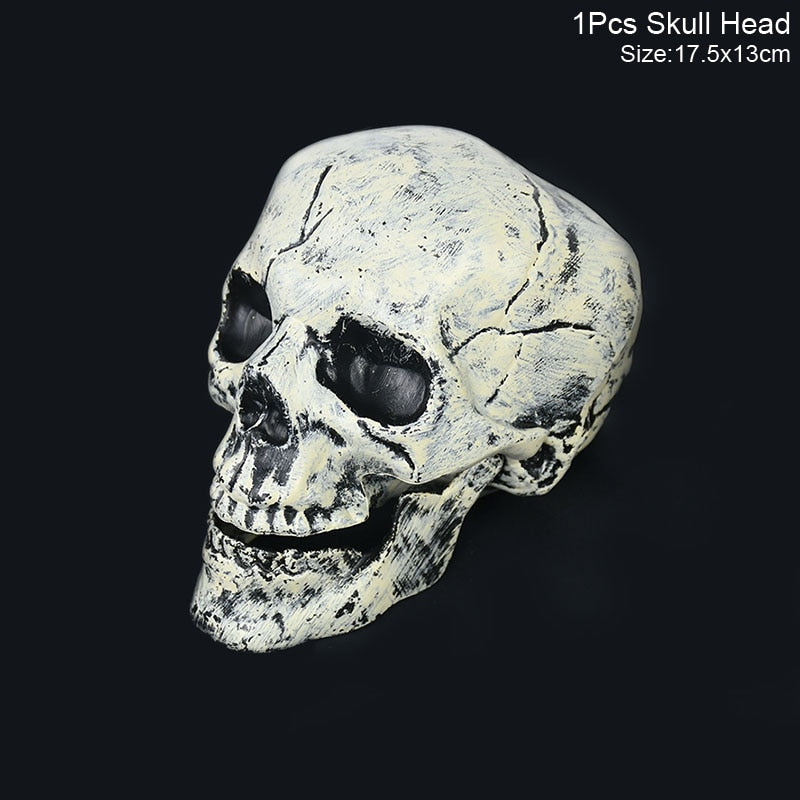 Halloween Realistic Skull Skeleton Head Human
