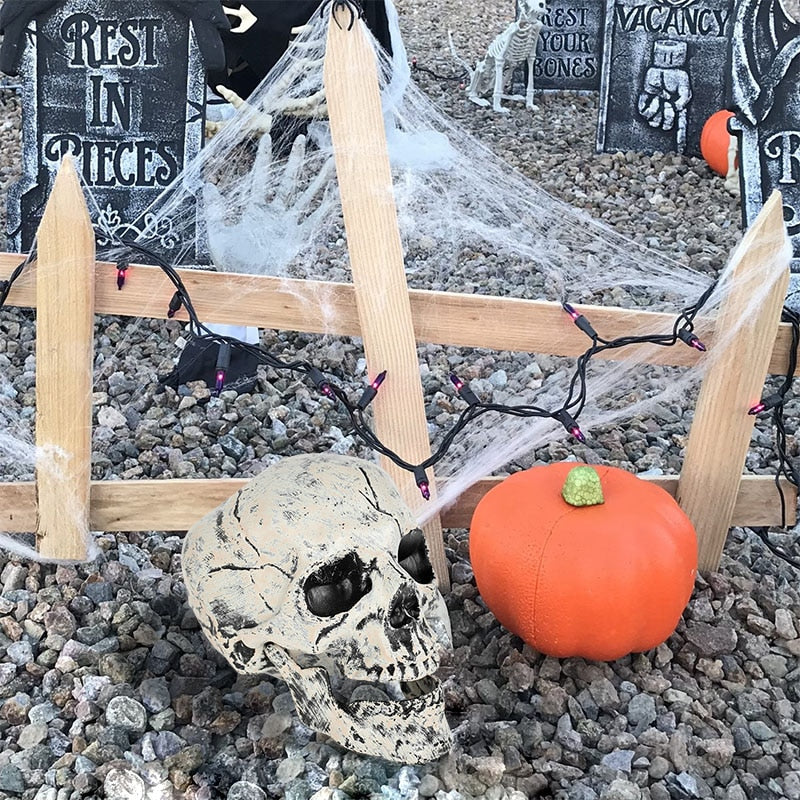 Halloween Realistic Skull Skeleton Head Human