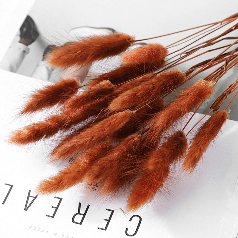 15Pieces Dried Pampas Grass Wedding Flower Bunch