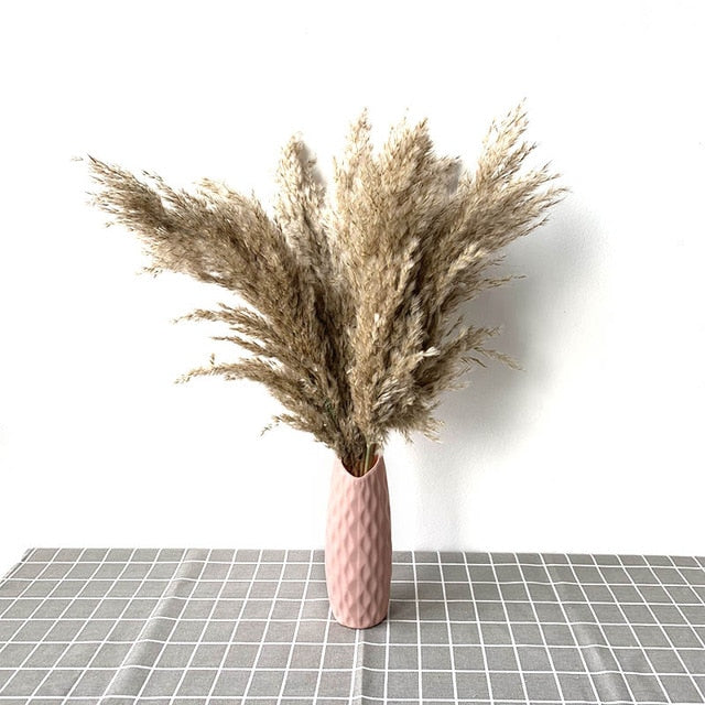 pampas grass decor plants home wedding decor dried flowers bunch feather flowers natural phragmites tall 20-22''  plastic vase